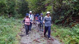一日八里の写真