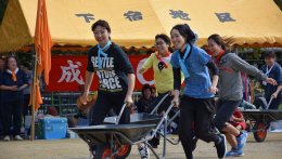 運動会ねこさんこちらの写真