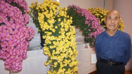 地域交流サロンのパーテーションにロールカーテンをかぶせた写真