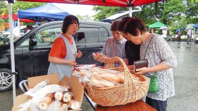 ALL致芳市の写真