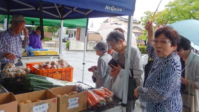 ALL致芳市の写真