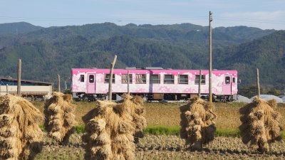 フラワー長井線