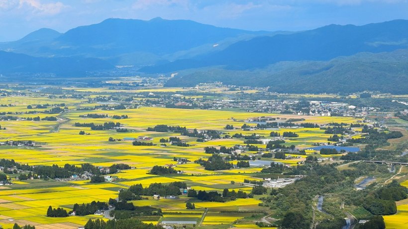 致芳地区の空撮写真