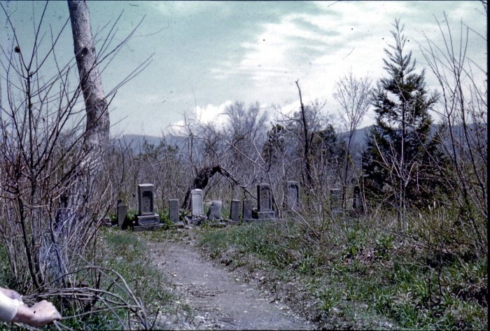 1955年（昭和30年）撮影、ひばり野