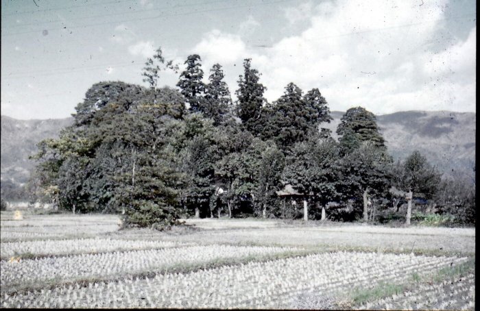 昭和30年 平吹屋敷の様子