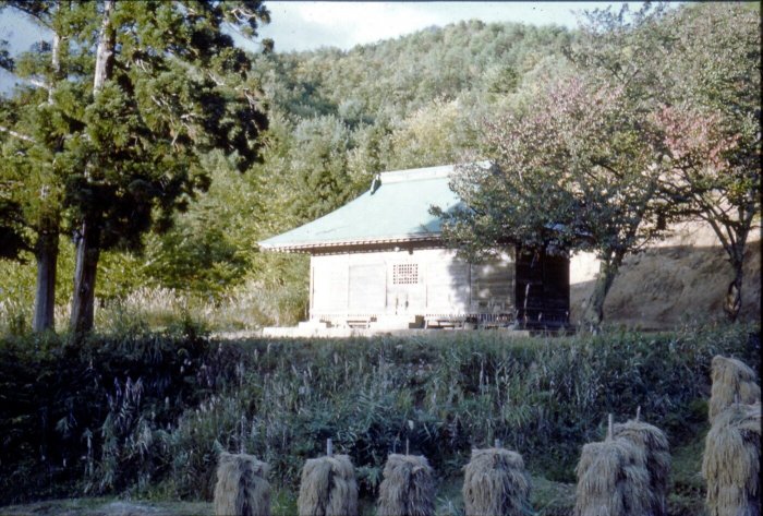 昭和30年 津島神社の様子