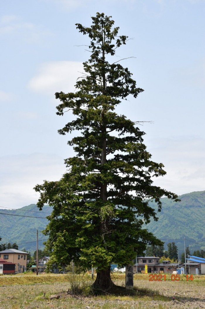 2021年撮影、檜田遺跡の写真
