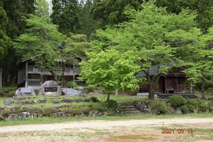 2021年撮影、葉山森林公園の写真