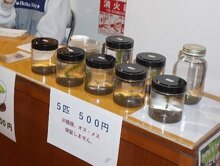 メダカ販売